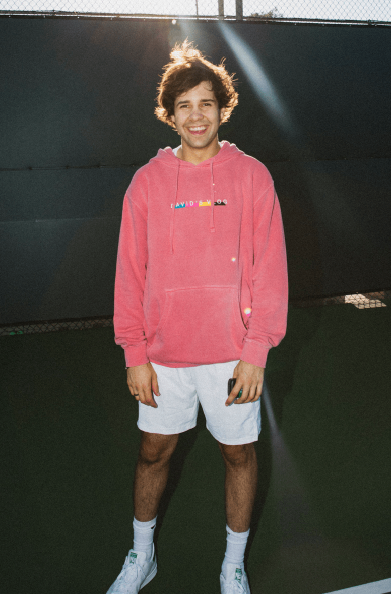 David dobrik mint beverly hoodie online